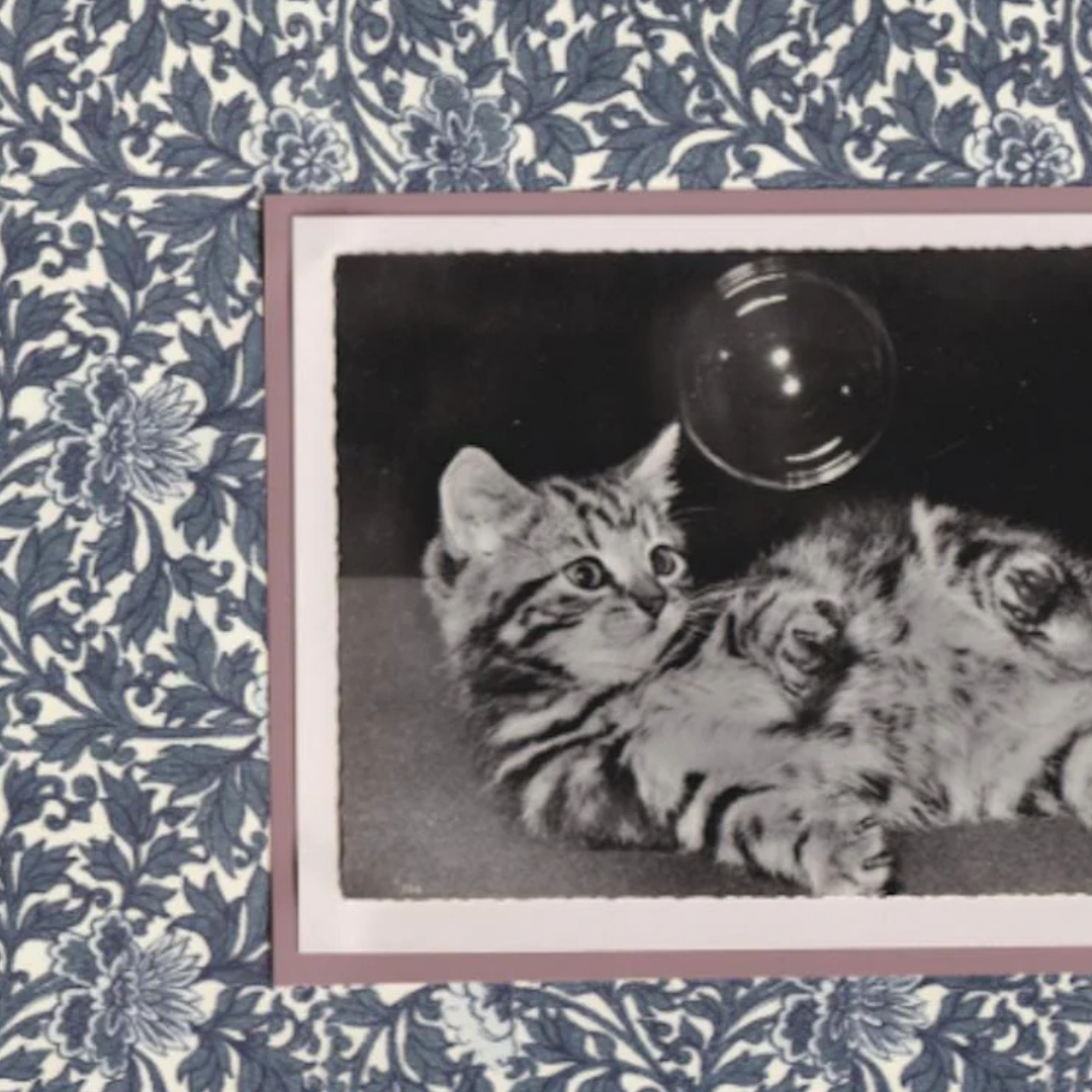 Tabby Kitten With Bubble - Vintage Cat Postcard Collage Art Print