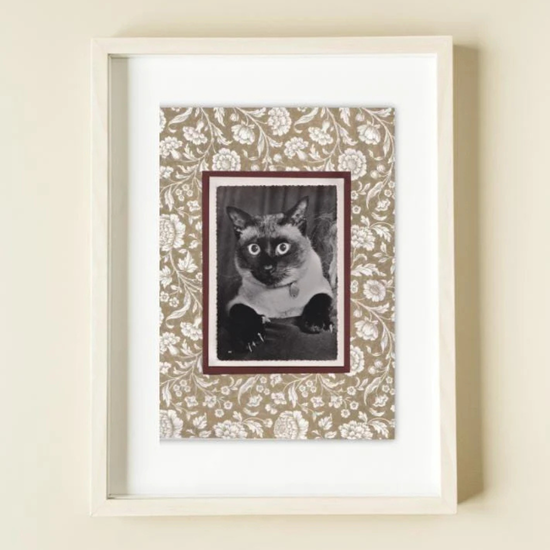 Siamese With Neutral Flowers - Vintage Cat Postcard Collage Art Print