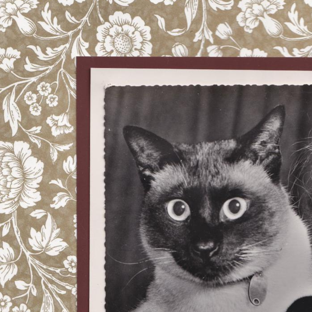 Siamese With Neutral Flowers - Vintage Cat Postcard Collage Art Print