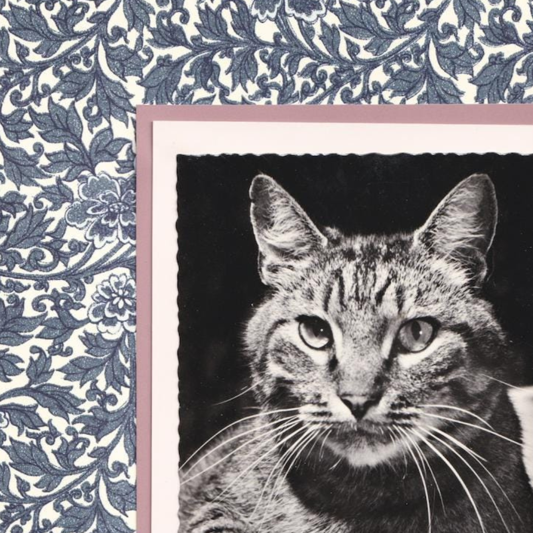 Tabby With Indigo Blue Flowers - Vintage Cat Postcard Collage Art Print