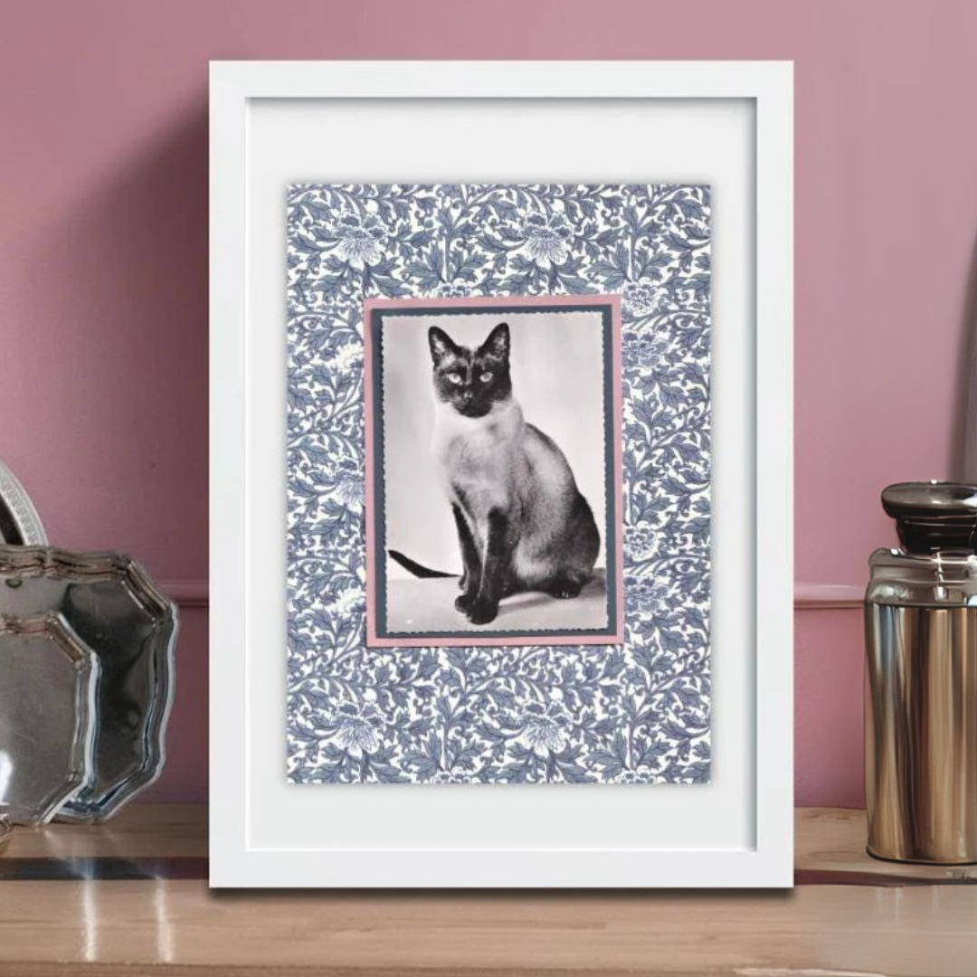 Siamese With Indigo Flowers - Vintage Cat Postcard Collage Art Print