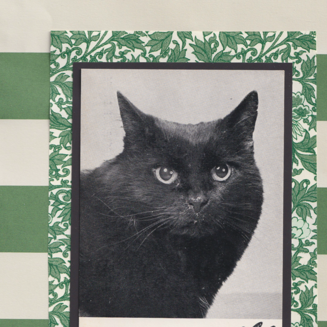 Green Stripes & 'Sooty' - Vintage Black Cat Postcard Collage Art Print