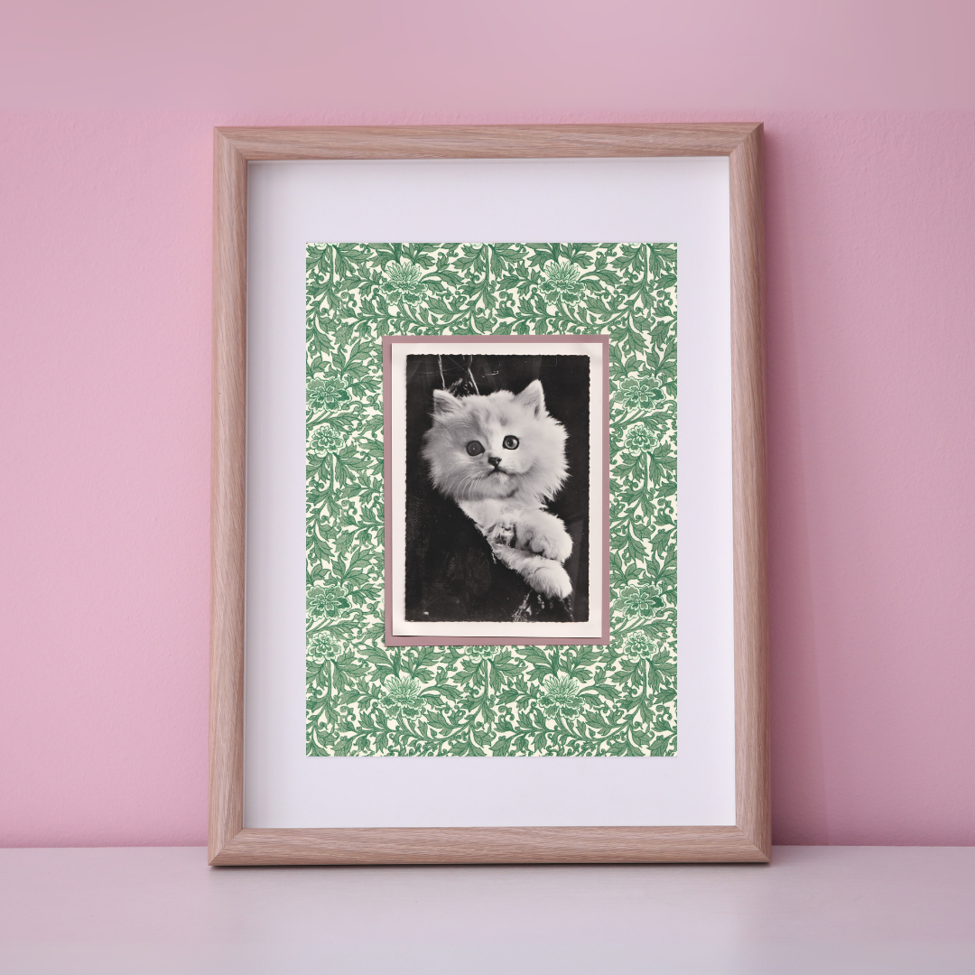 White Kitten On Green Floral - Vintage Cat Postcard Collage Art Print