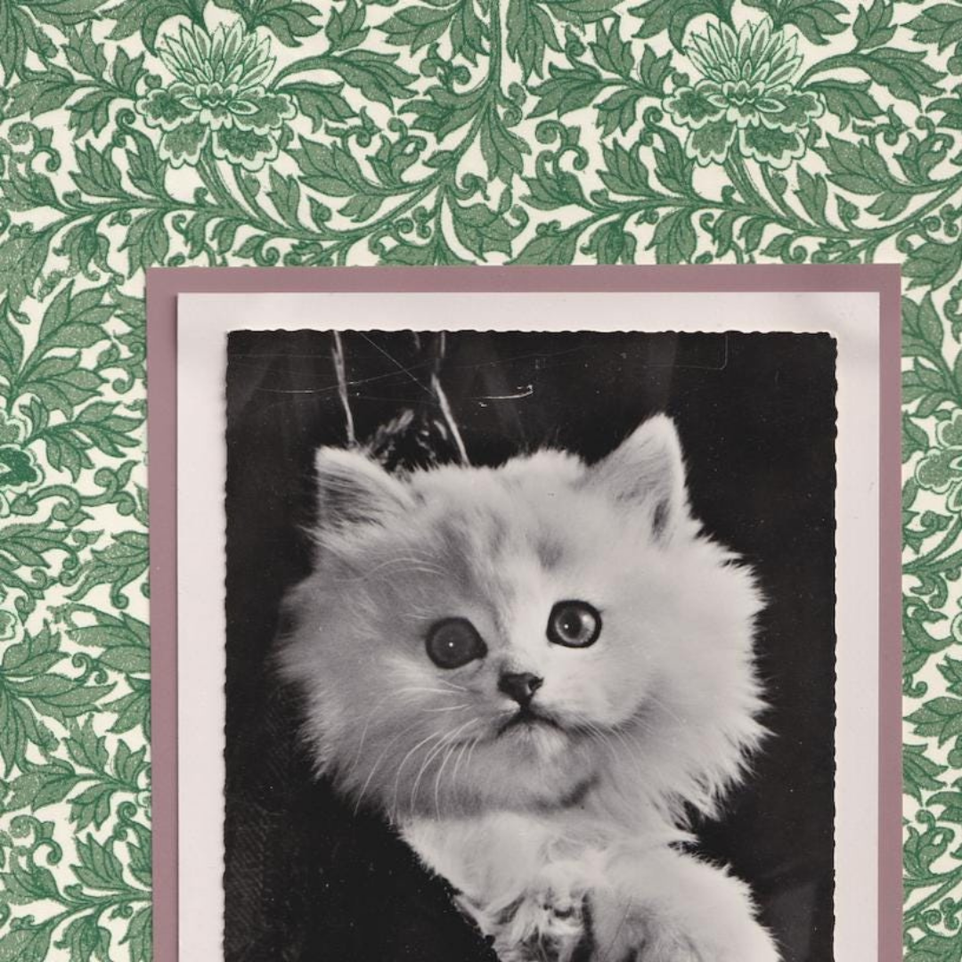 White Kitten On Green Floral - Vintage Cat Postcard Collage Art Print
