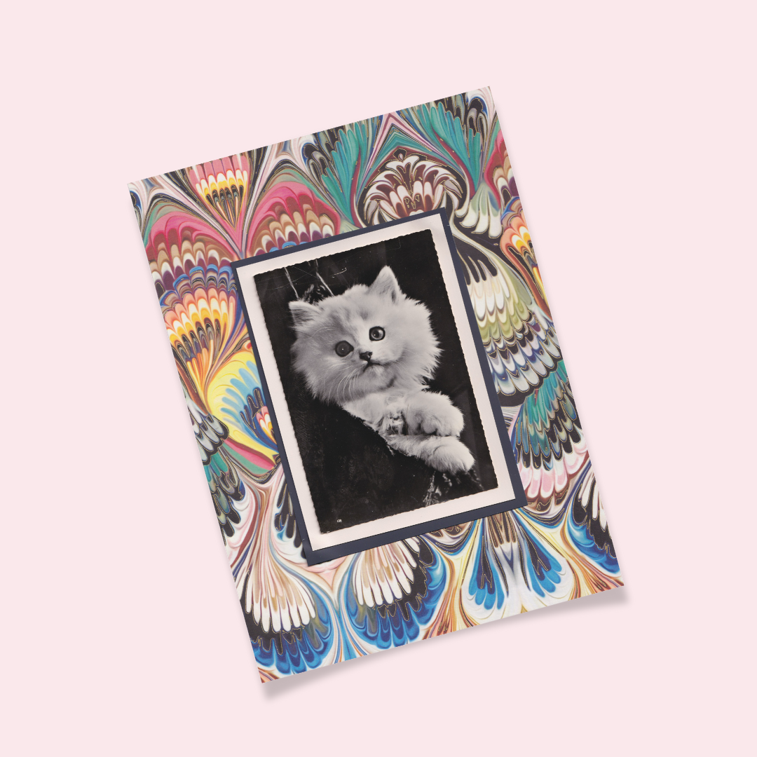 White Kitten With Colourful Marbled Pattern - Vintage Cat Postcard Collage Art Print