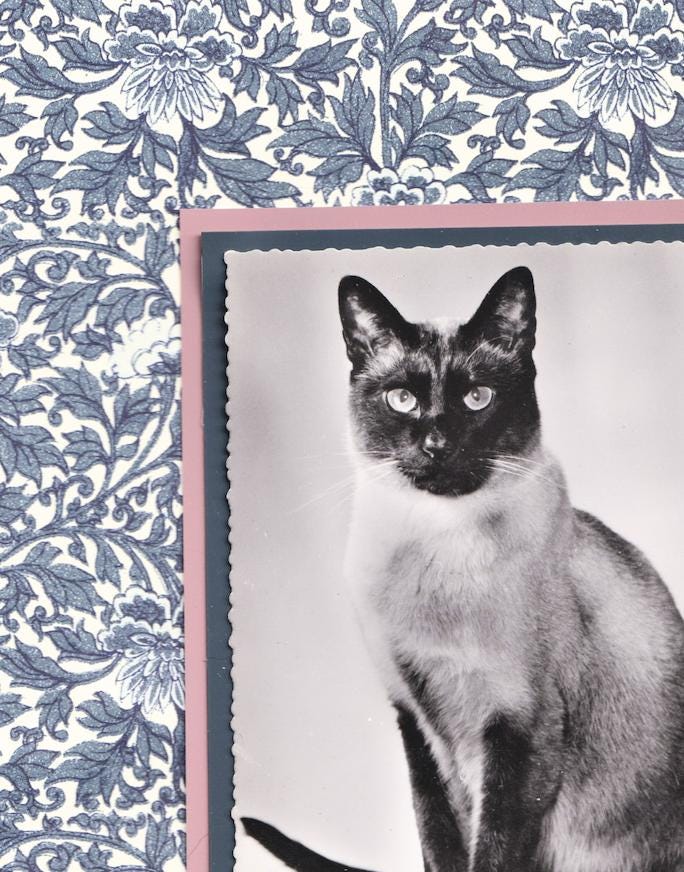 Siamese Amongst Indigo Flowers - Vintage Cat Postcard Collage Print