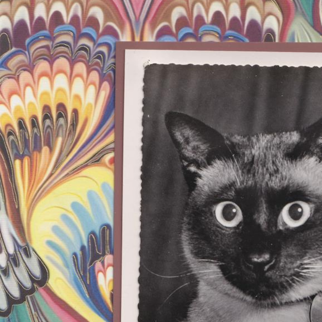 Marbled Siamese - Vintage Cat Postcard Collage Art Print