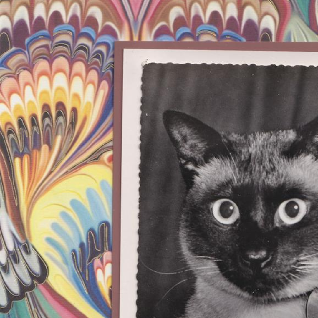 Marbled Siamese - Vintage Cat Postcard Collage Art Print