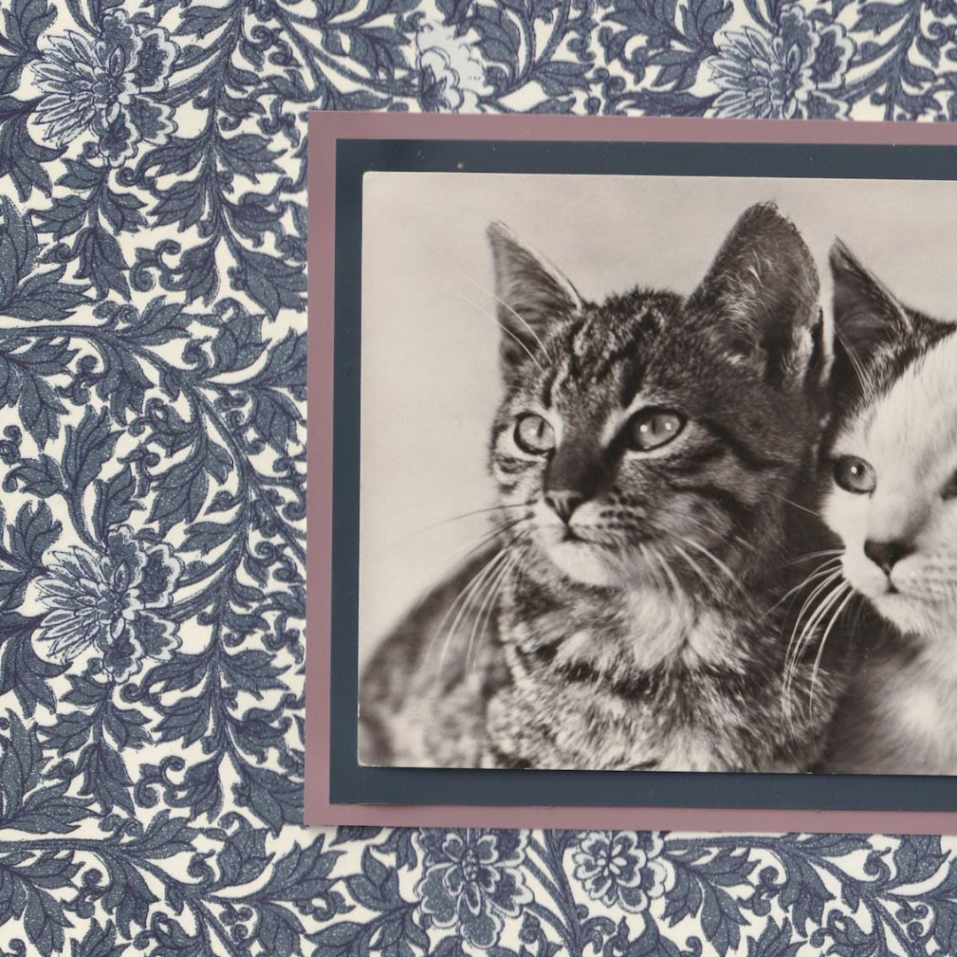 Tabby & Calico with Indigo Flowers - Vintage Cat Postcard Collage Art Print