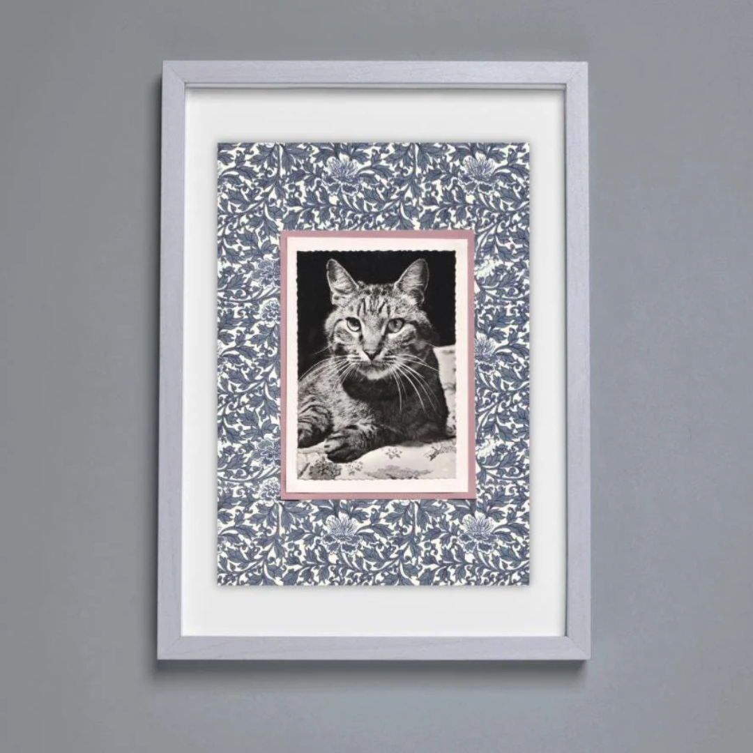 Tabby With Indigo Blue Flowers - Vintage Cat Postcard Collage Art Print