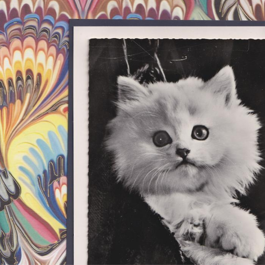 White Kitten With Colourful Marbled Pattern - Vintage Cat Postcard Collage Art Print
