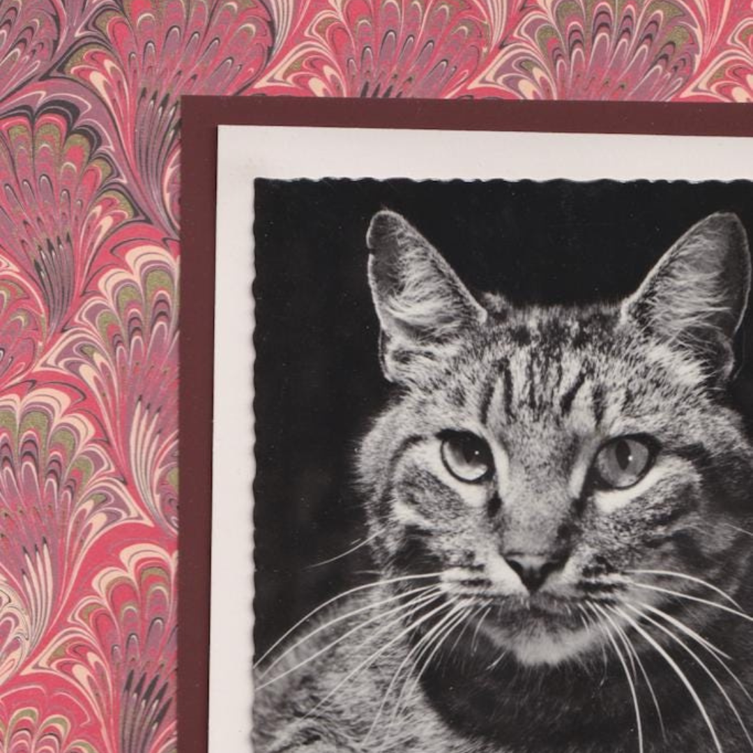 Tabby With Red Marbled Pattern - Vintage Cat Postcard Collage Art Print