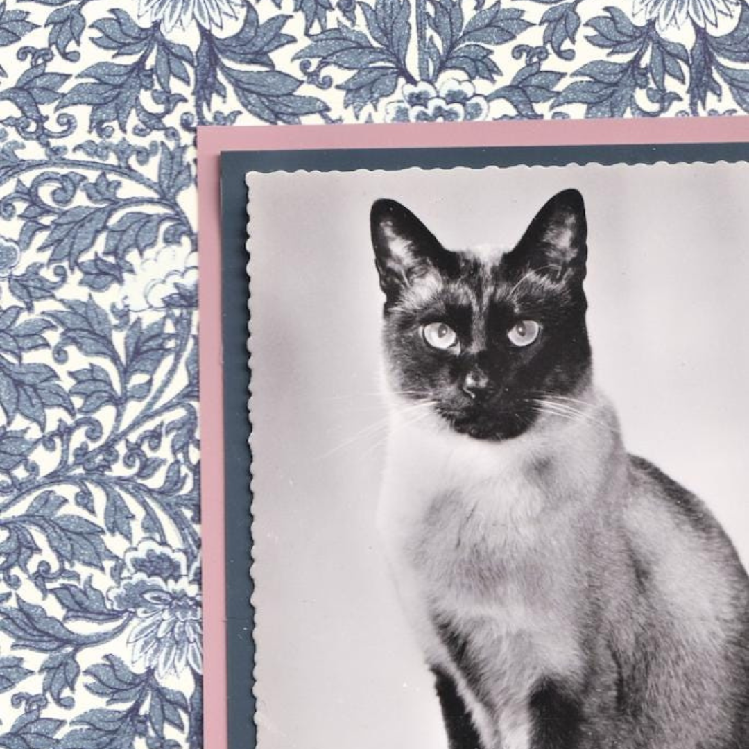 Siamese With Indigo Flowers - Vintage Cat Postcard Collage Art Print