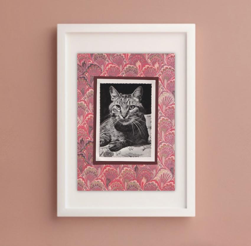 Tabby With Red Marbled Pattern - Vintage Cat Postcard Collage Print
