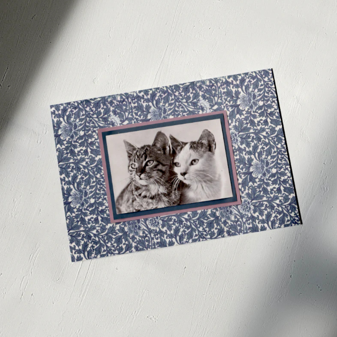 Tabby & Calico with Indigo Flowers - Vintage Cat Postcard Collage Art Print