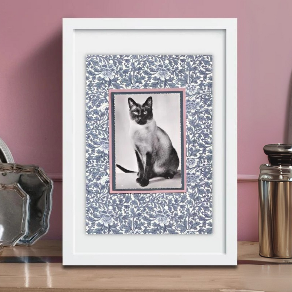 Siamese With Indigo Flowers - Vintage Cat Postcard Collage Art Print