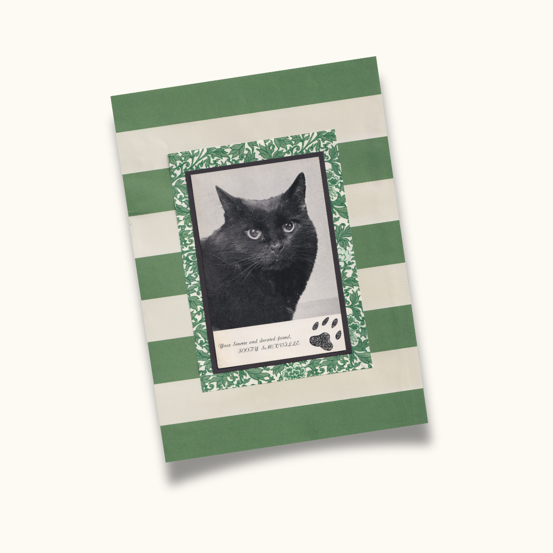 Green Stripes & 'Sooty' - Vintage Black Cat Postcard Collage Art Print