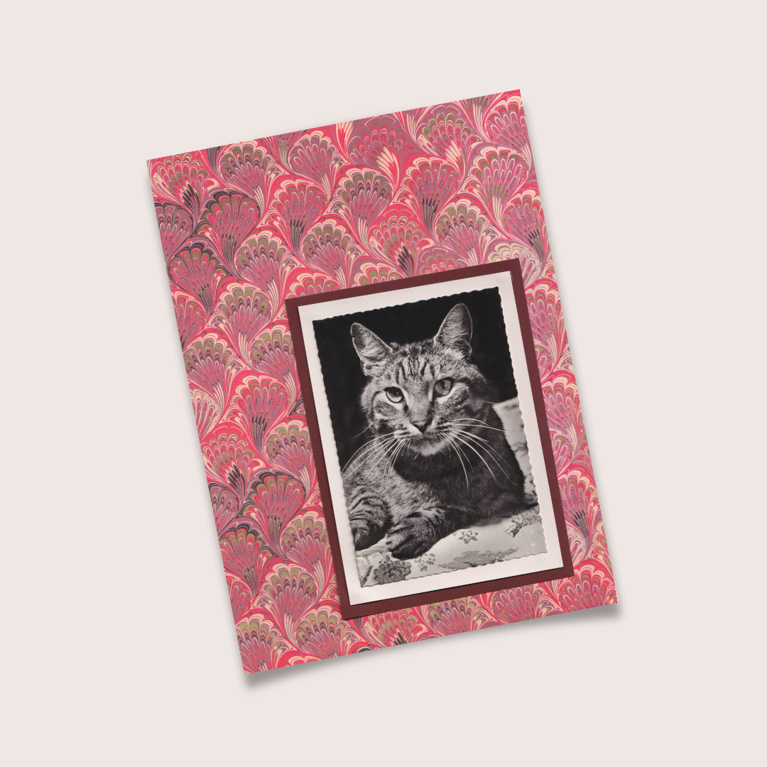 Asymmetric Tabby With Red Marbled Pattern - Vintage Cat Postcard Collage Art Print