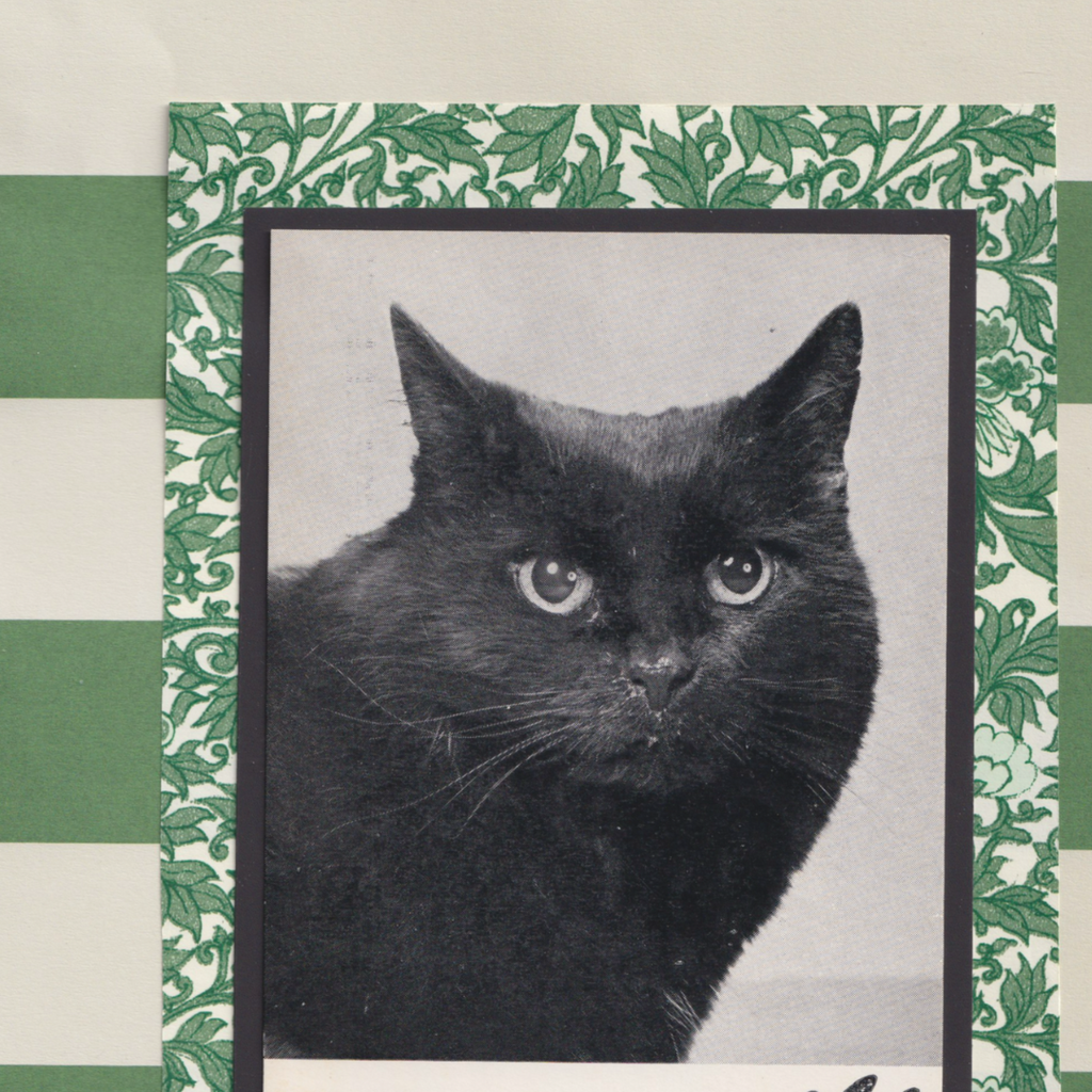 Green Stripes & 'Sooty' - Vintage Black Cat Postcard Collage Art Print