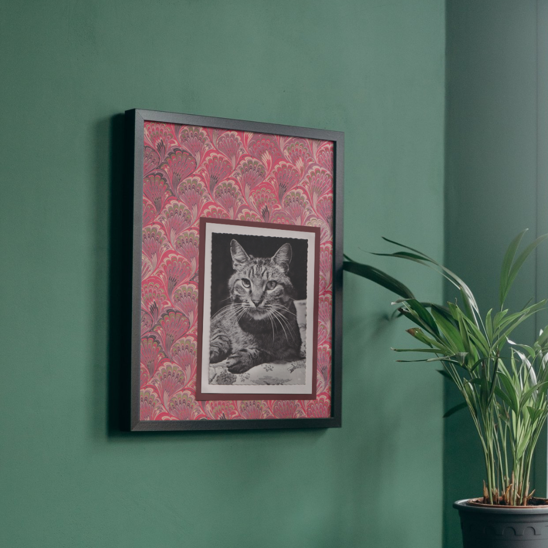 Asymmetric Tabby With Red Marbled Pattern - Vintage Cat Postcard Collage Art Print