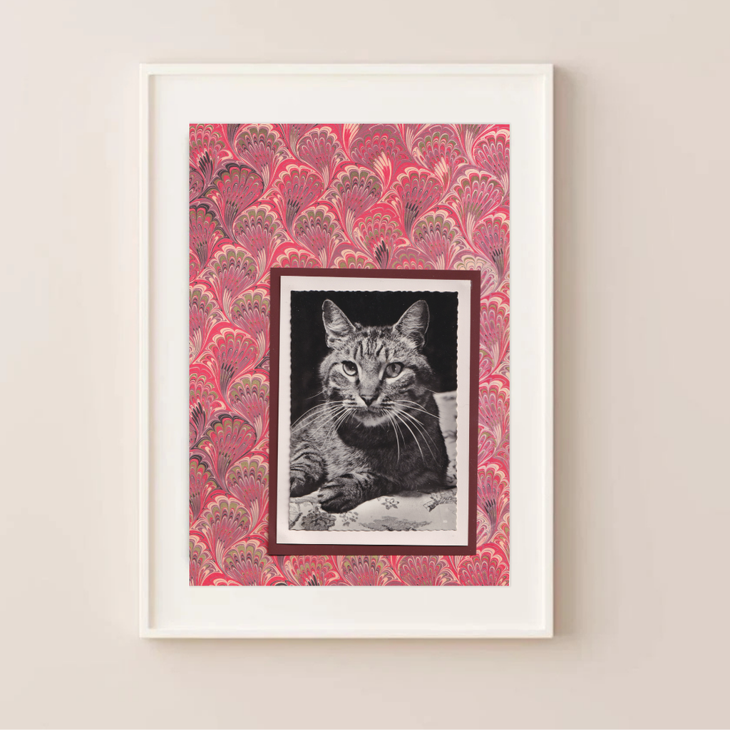 Asymmetric Tabby With Red Marbled Pattern - Vintage Cat Postcard Collage Art Print