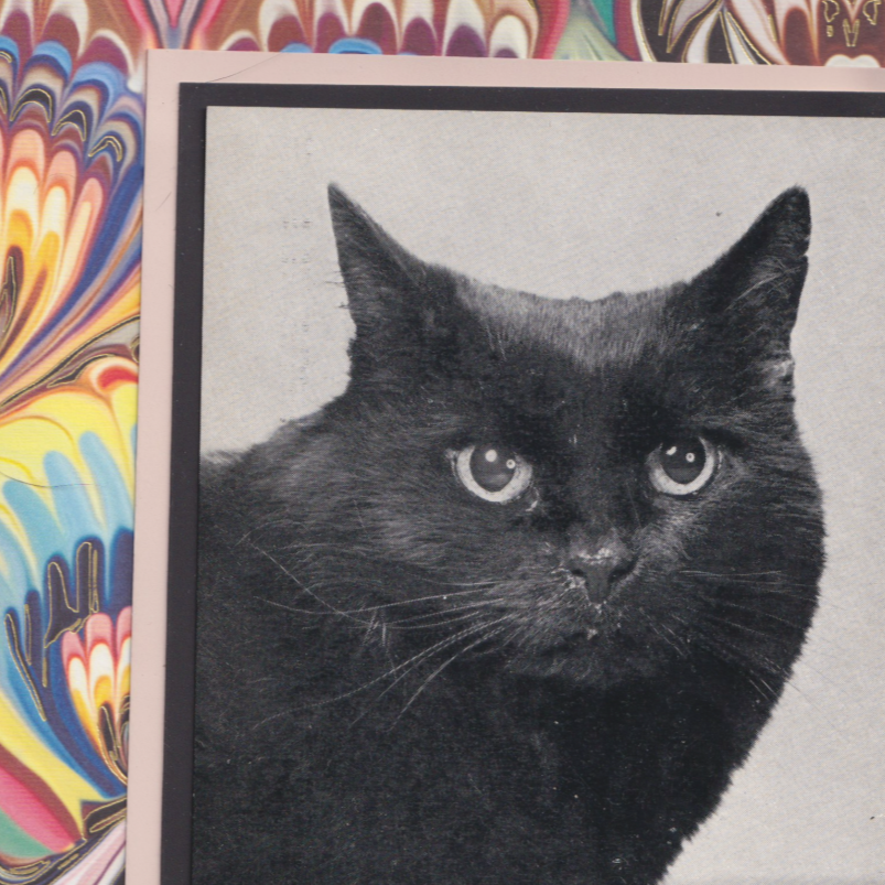 Marbled 'Sooty' - Vintage Black Cat Postcard Collage Art Print