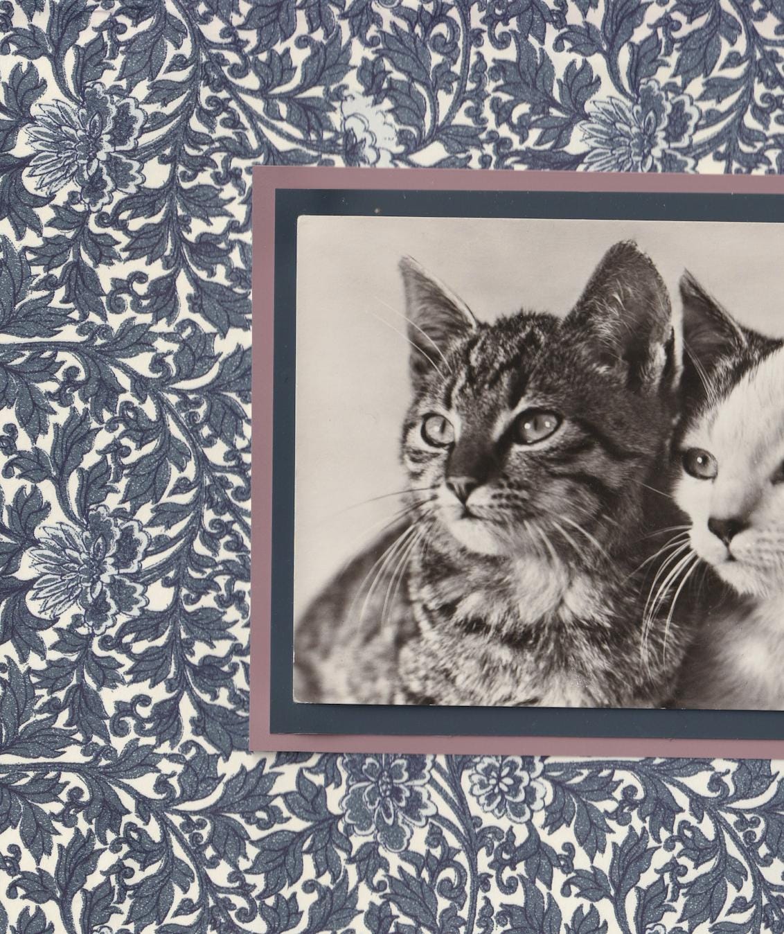 Tabby & Calico Among Indigo Flowers - Vintage Cat Postcard Collage Print