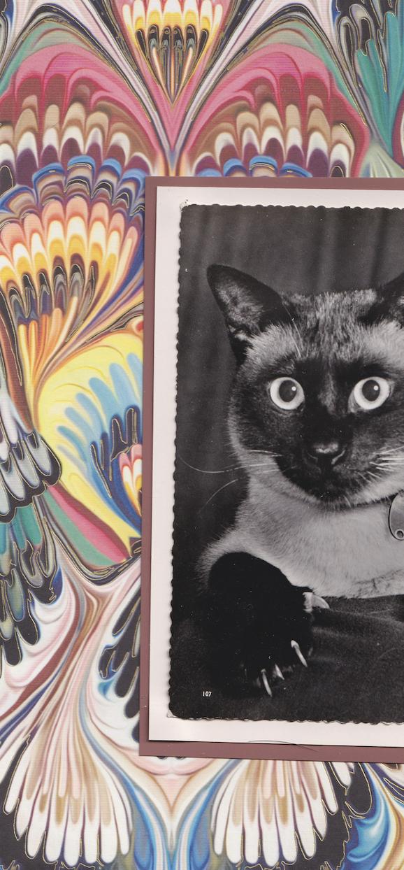 Marbled Siamese - Vintage Cat Postcard Collage Print