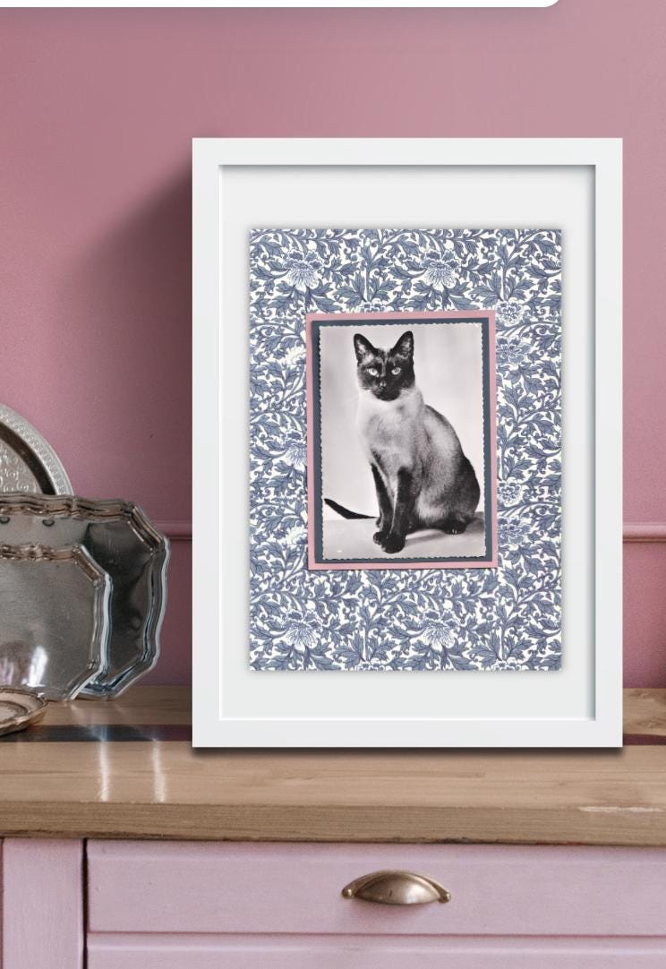 Siamese Amongst Indigo Flowers - Vintage Cat Postcard Collage Print