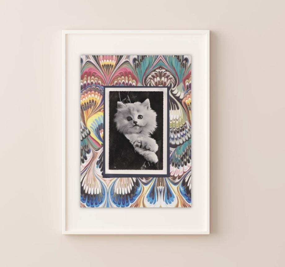 White Kitten with Colourful Marbled Pattern - Vintage Cat Postcard Collage Print