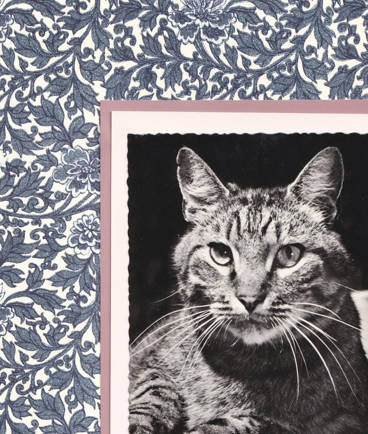 Tabby Amongst Indigo Blue Flowers - Vintage Cat Postcard Collage Print