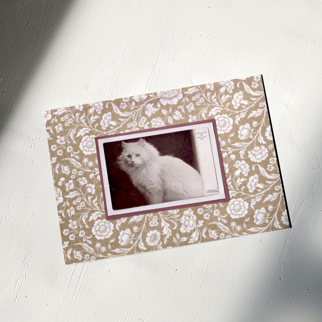 White Cat With Neutral Flowers - Vintage Cat Postcard Collage Art Print