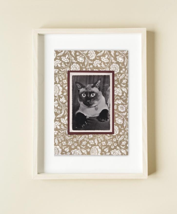 Siamese Amongst Neutral Flowers - Vintage Cat Postcard Collage Print