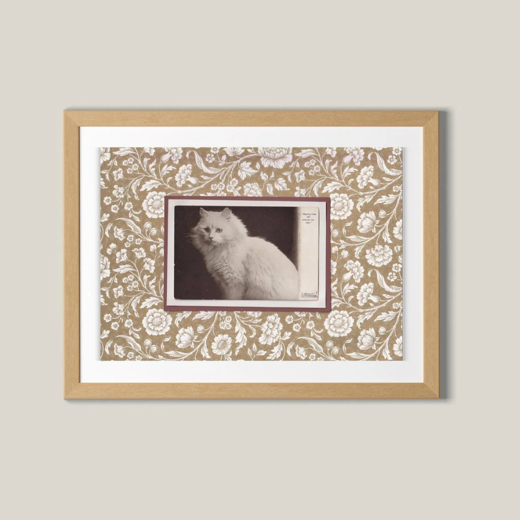 White Cat With Neutral Flowers - Vintage Cat Postcard Collage Art Print
