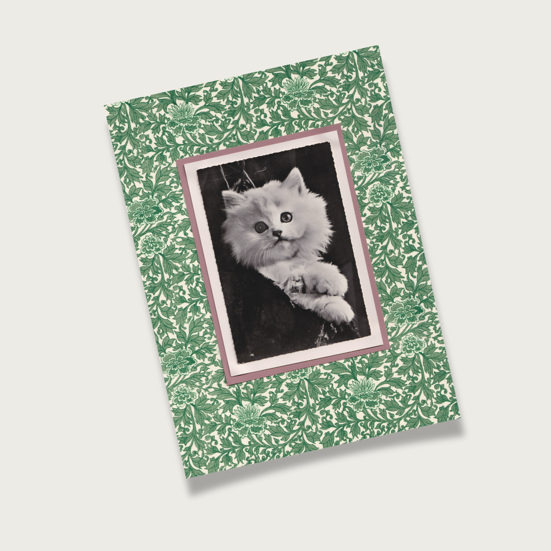 White Kitten On Green Floral - Vintage Cat Postcard Collage Art Print