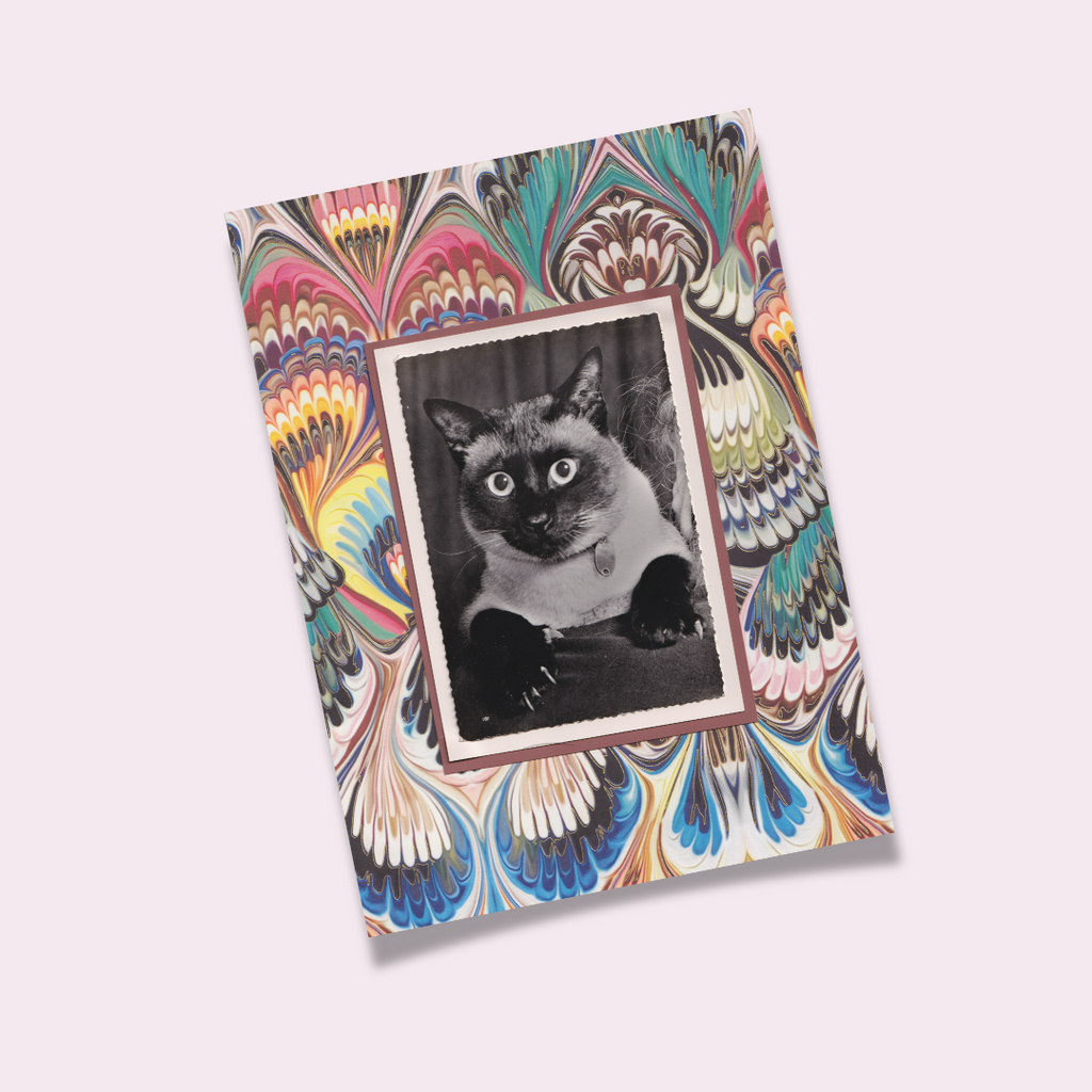 Marbled Siamese - Vintage Cat Postcard Collage Art Print