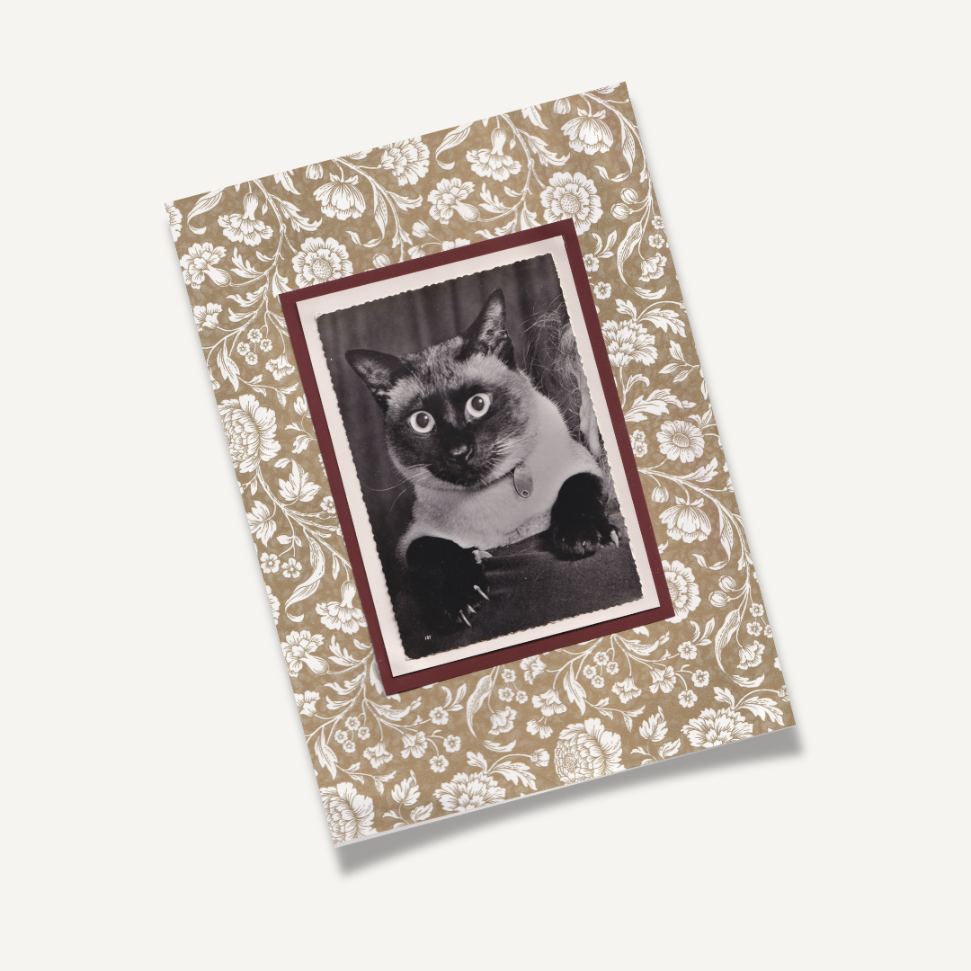 Siamese With Neutral Flowers - Vintage Cat Postcard Collage Art Print