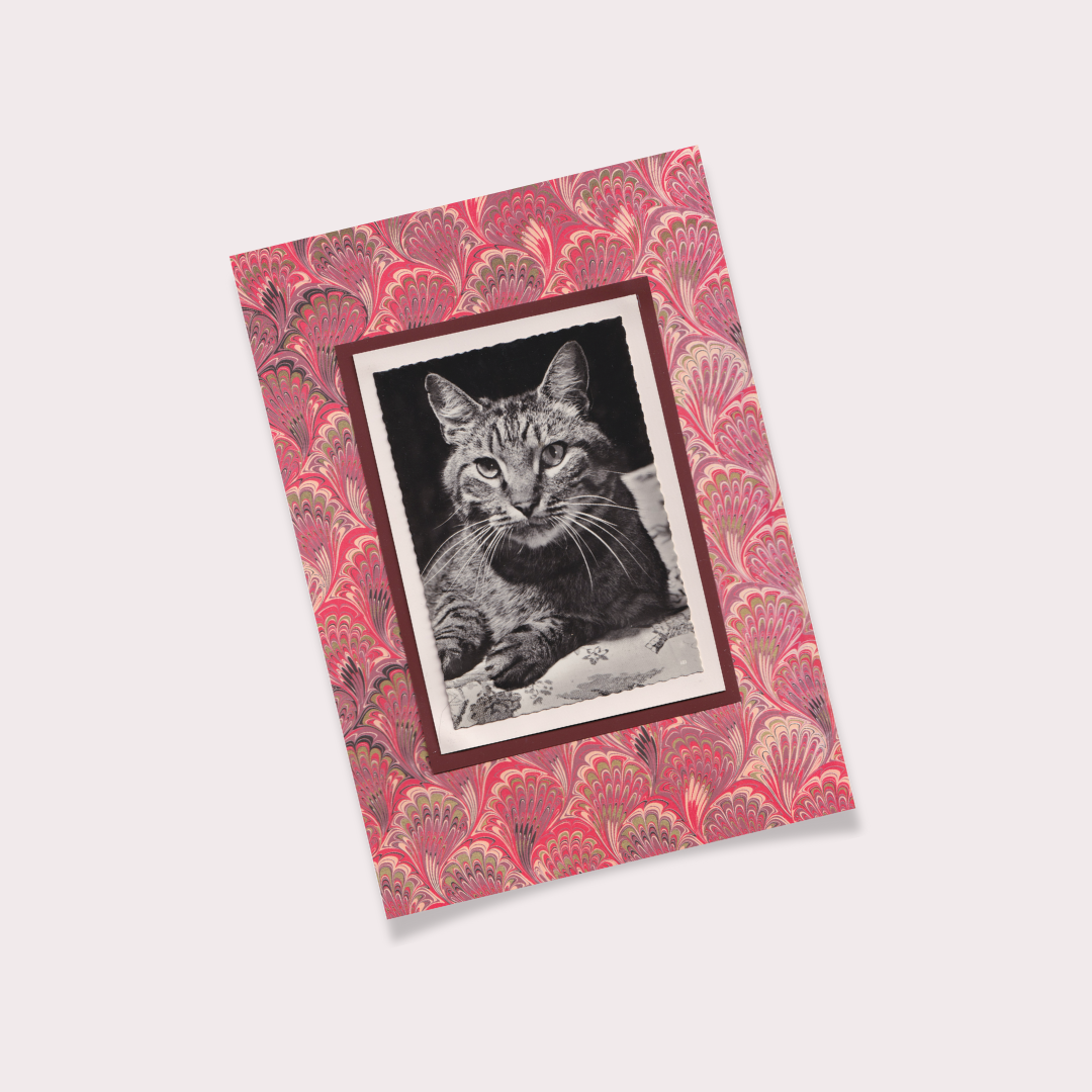 Tabby With Red Marbled Pattern - Vintage Cat Postcard Collage Art Print