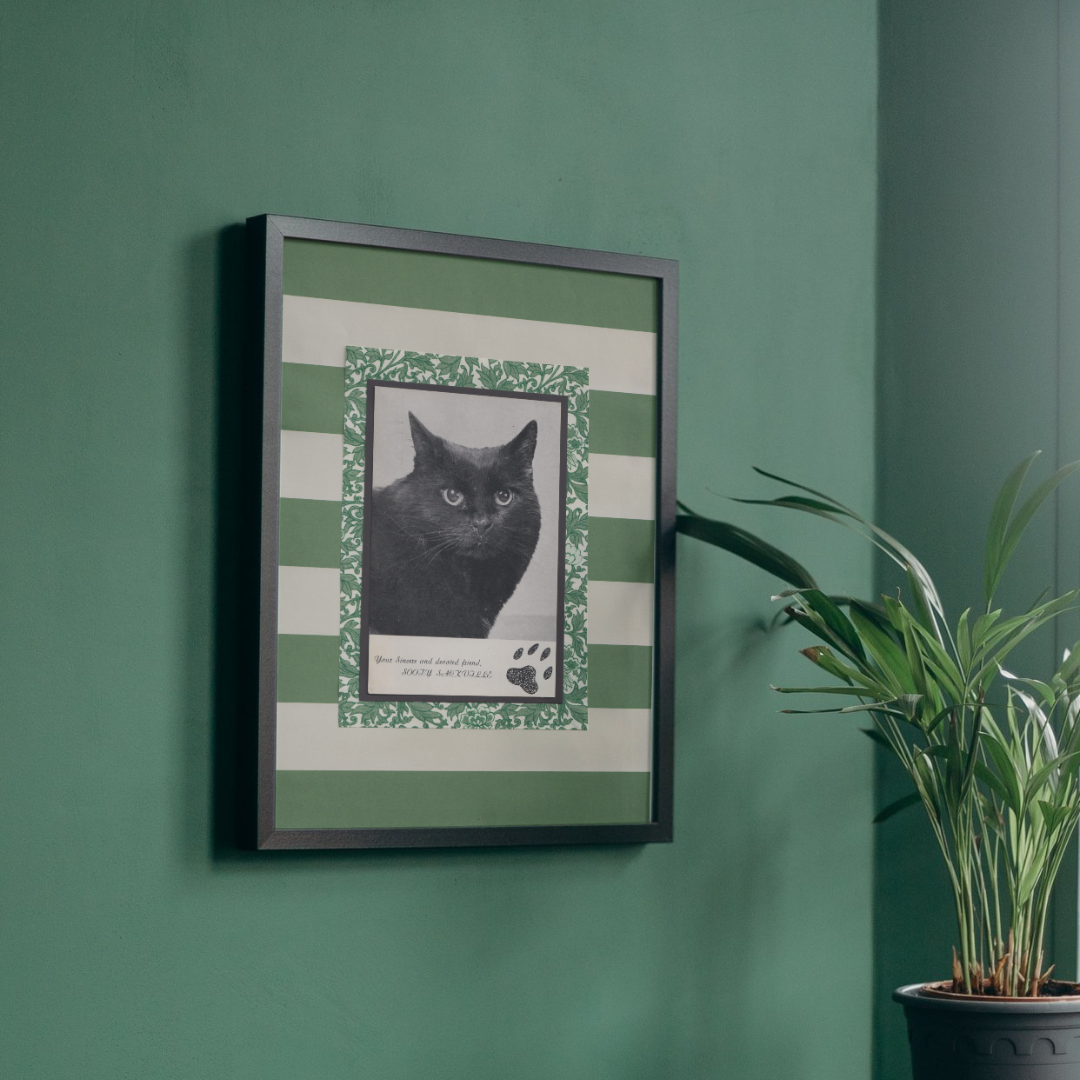 Green Stripes & 'Sooty' - Vintage Black Cat Postcard Collage Art Print
