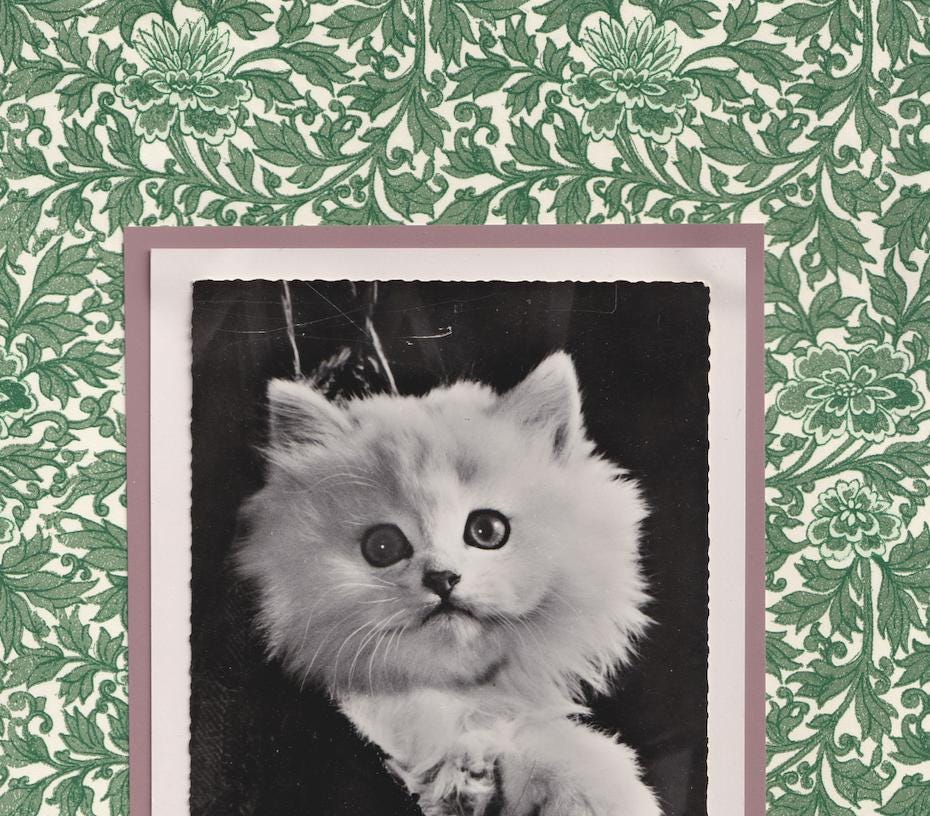 White Kitten On Green Floral - Vintage Cat Postcard Collage Print