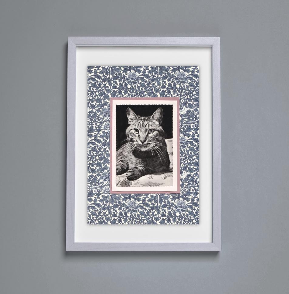 Tabby Amongst Indigo Blue Flowers - Vintage Cat Postcard Collage Print