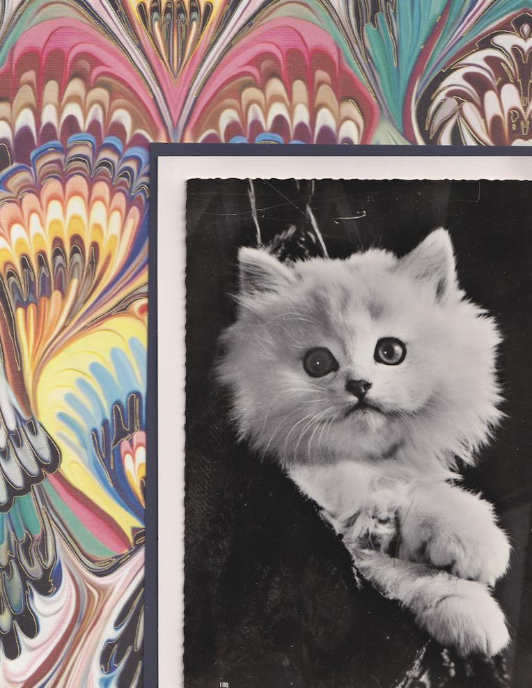 White Kitten with Colourful Marbled Pattern - Vintage Cat Postcard Collage Print