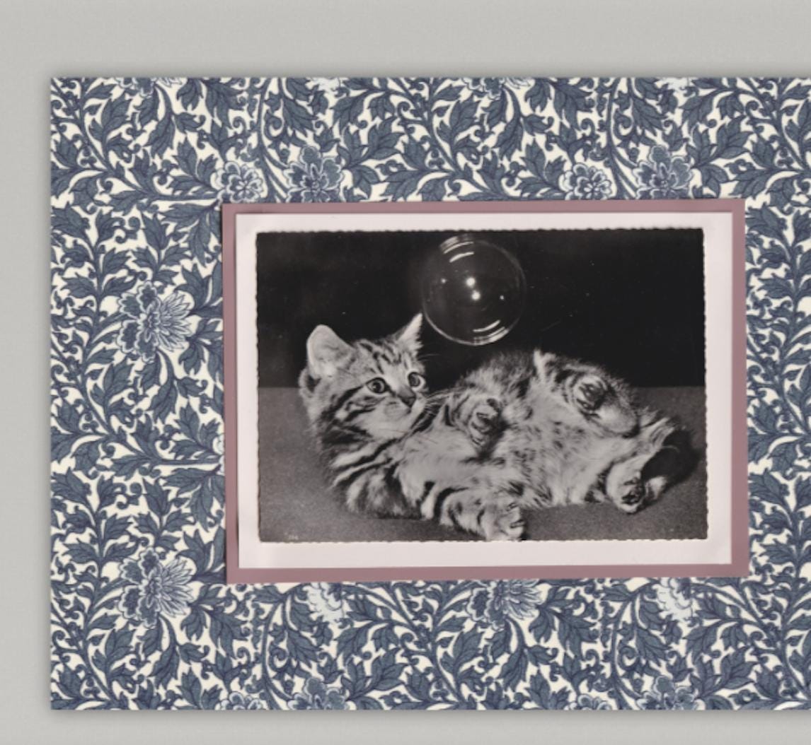 Tabby Kitten with Bubble - Vintage Cat Postcard Collage Print