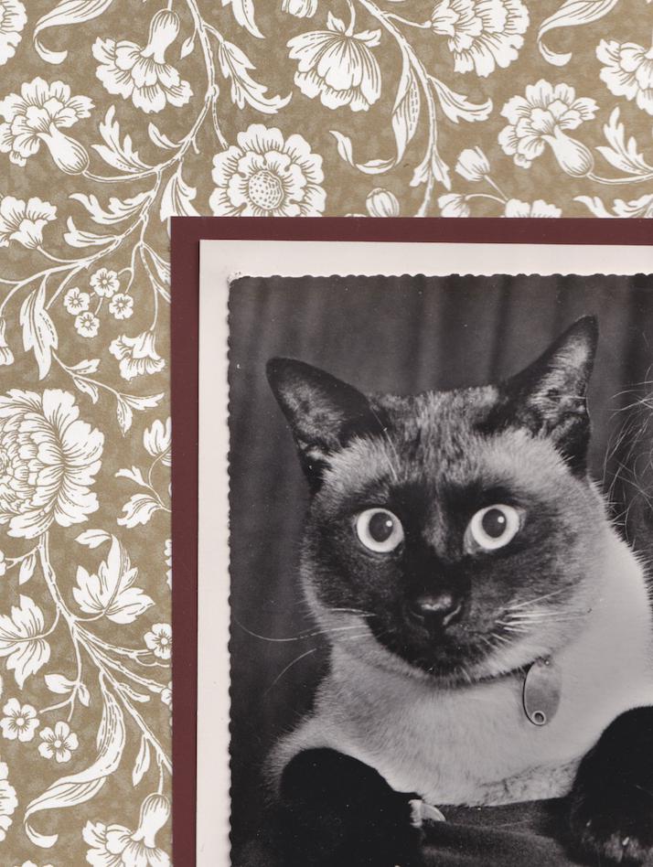 Siamese Amongst Neutral Flowers - Vintage Cat Postcard Collage Print